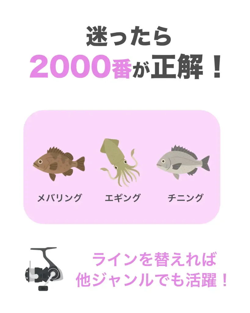 2000番のリールは、ラインを替えればアジング以外のジャンルでも活躍できる。例えば、メバリング、エギング、チニングなど。