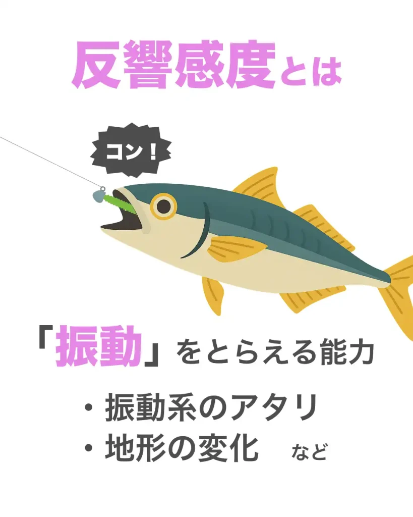反響感度とは、振動をとらえる能力。アタリや地形の変化など。