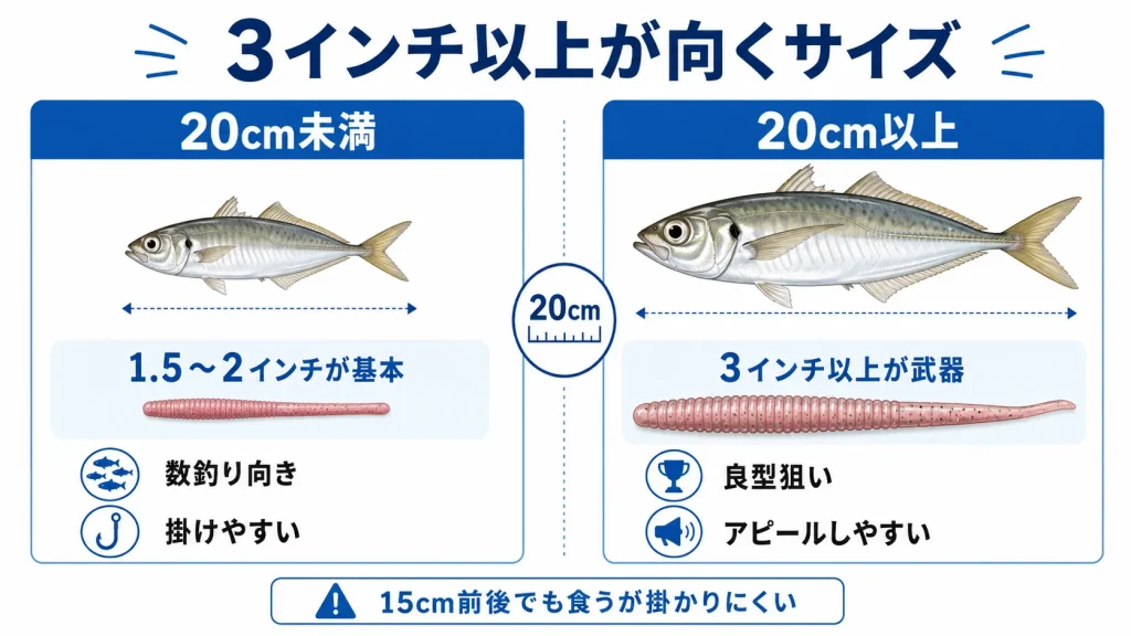 3インチ以上のロングワームで狙いたいアジのサイズ