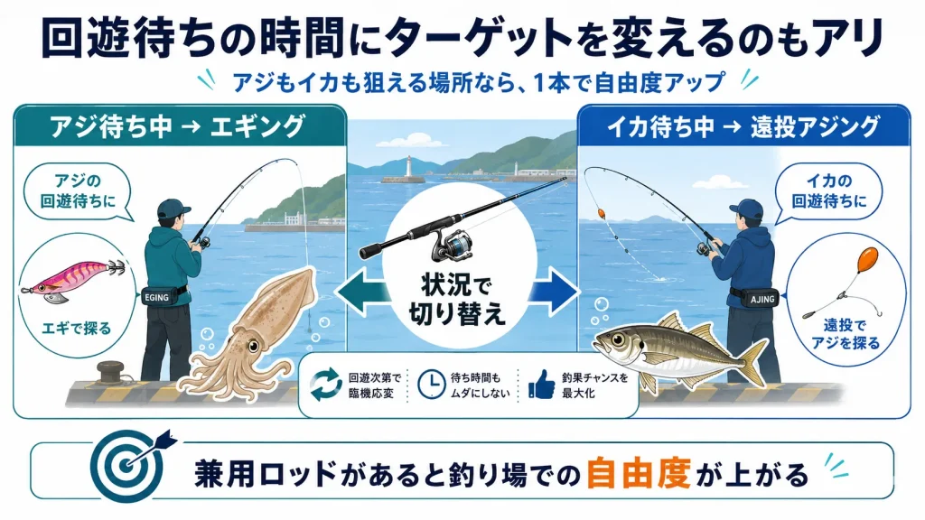 アジ、イカそれぞれの回遊を待つ時間に別の釣りをできるから効率的。兼用ロッドが1本あれば、釣り場での自由度が上がる。